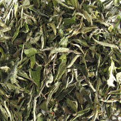 White Tea (Bai Mu Dan)